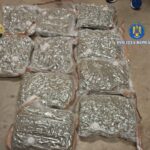 captura record de droguri in capitala patru suspecti prinsi cu canabis adus din spania unde era ascunsa marfa 6945396966fd4
