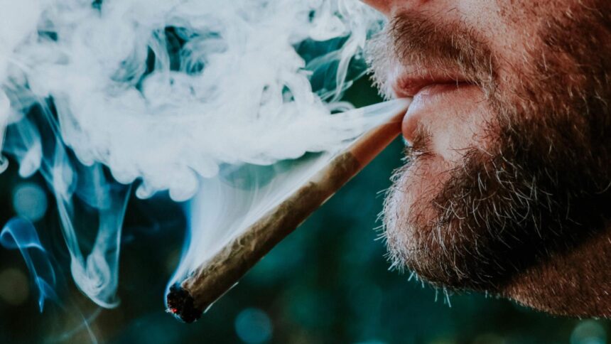 donald trump reclasifica marijuana printr un decret drept un drog mai putin periculos 69447a4d91a2a