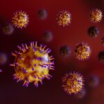alerta sanitara un virus periculos cu mortalitate de pana la 75 confirmat la o femeie din bangladesh 698842b2e8a73