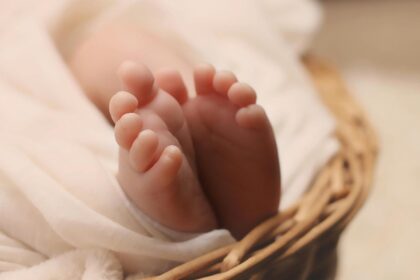 doi bebelusi gasiti fara viata intr un congelator in franta mama arestata preventiv 698f12573b634