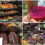 video romanii au prins gustul fructelor exotice cum s au transformat aprozarele clasice in afaceri cu rambutan jackfruit sau mangustan 69b7b01c55363